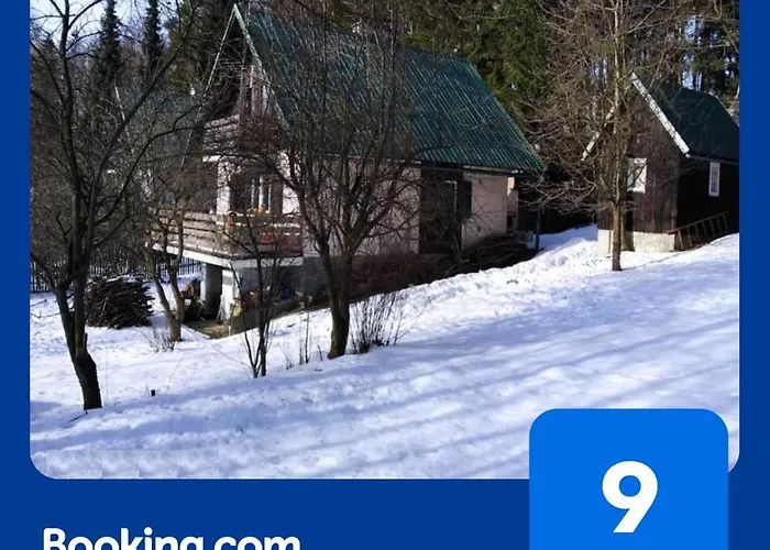 Na Poskle U Lesa S Vyhledem * Hutisko