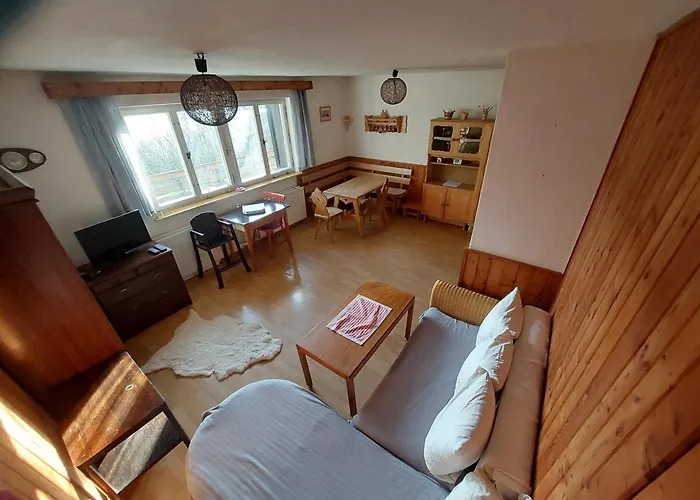Tatil Evi Na Poskle U Lesa S Vyhledem Hutisko