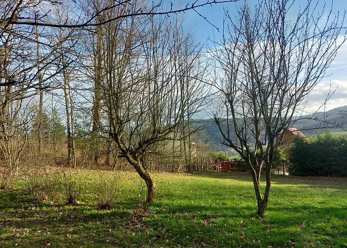 Na Poskle U Lesa S Vyhledem * Hutisko